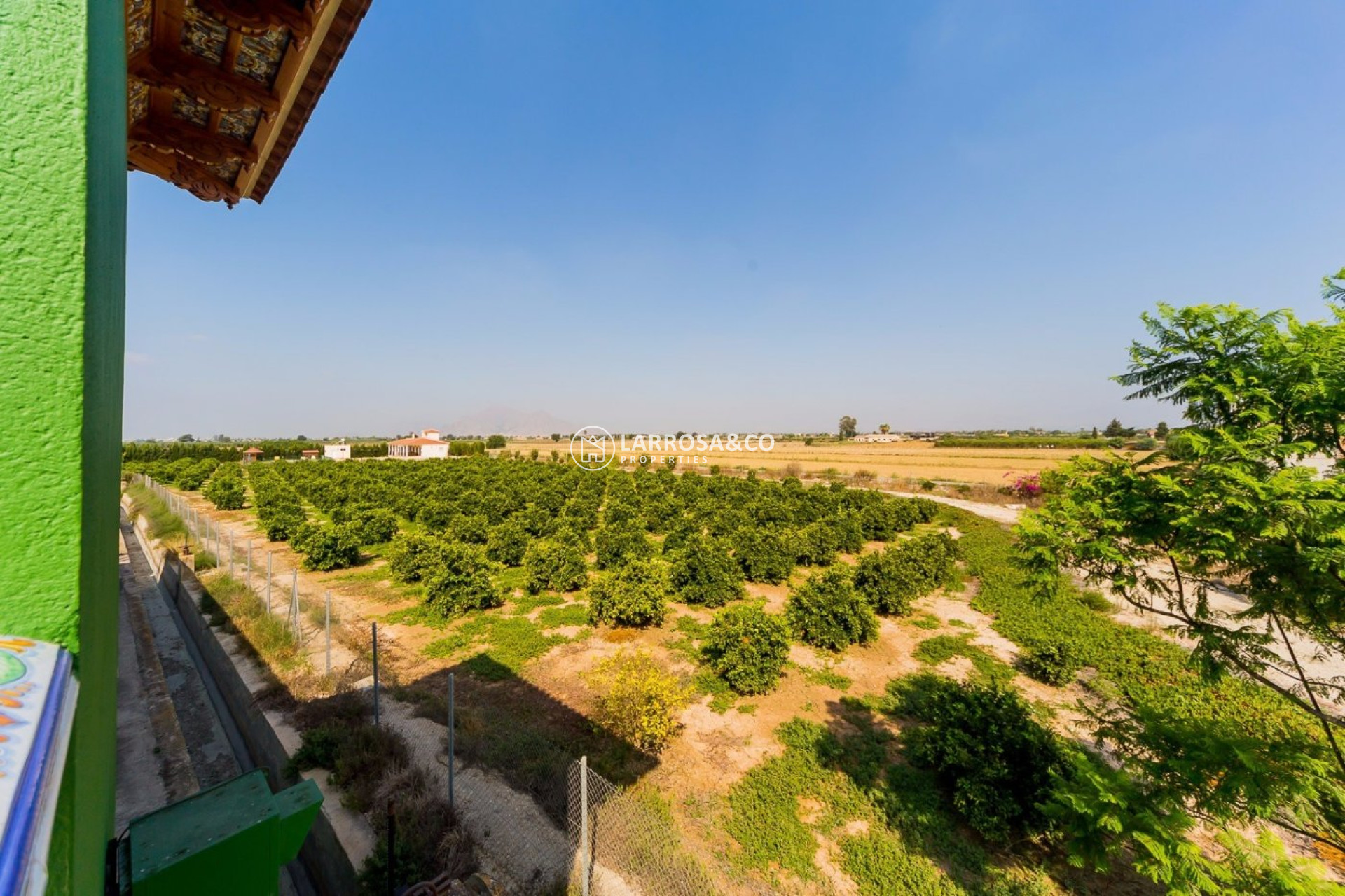 Herverkoop - Finca - Almoradí - Camino De Catral