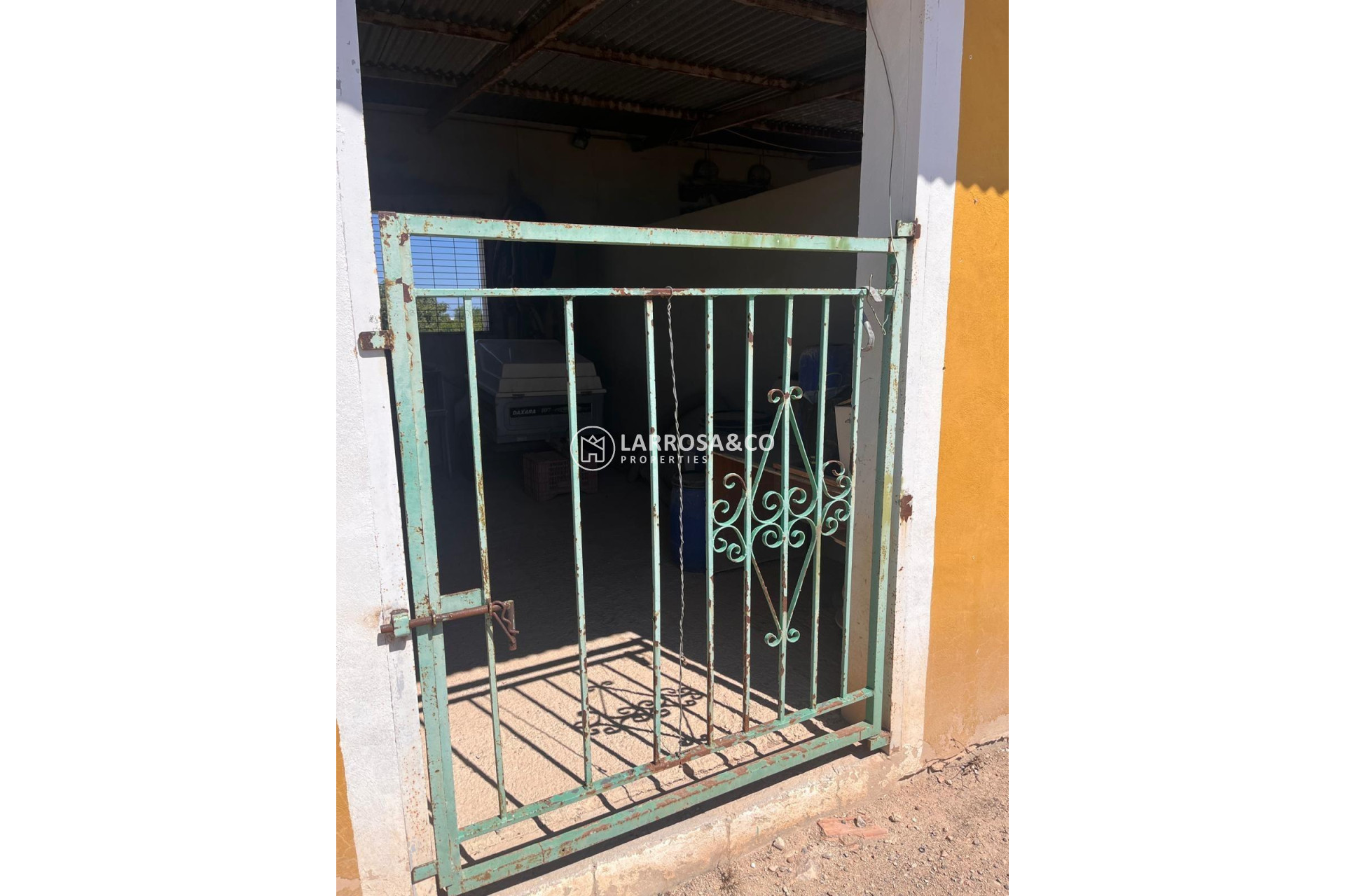 Herverkoop - Finca - Daya Nueva - La Bodega