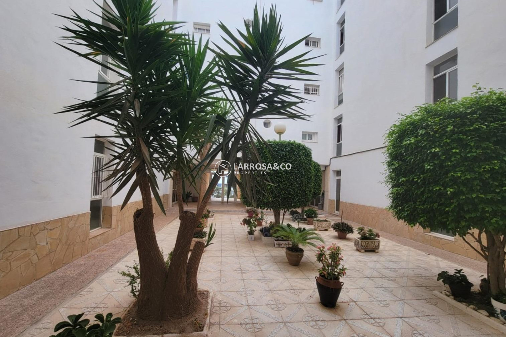 Herverkoop - Ground floor apartment - Torrevieja - Aguas Nuevas