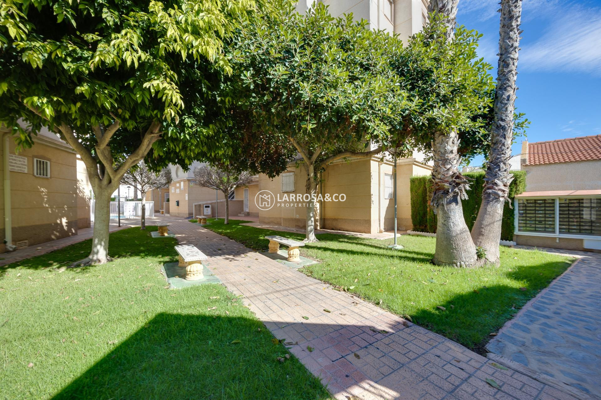 Herverkoop - Ground floor apartment - Torrevieja - Los Locos Beach