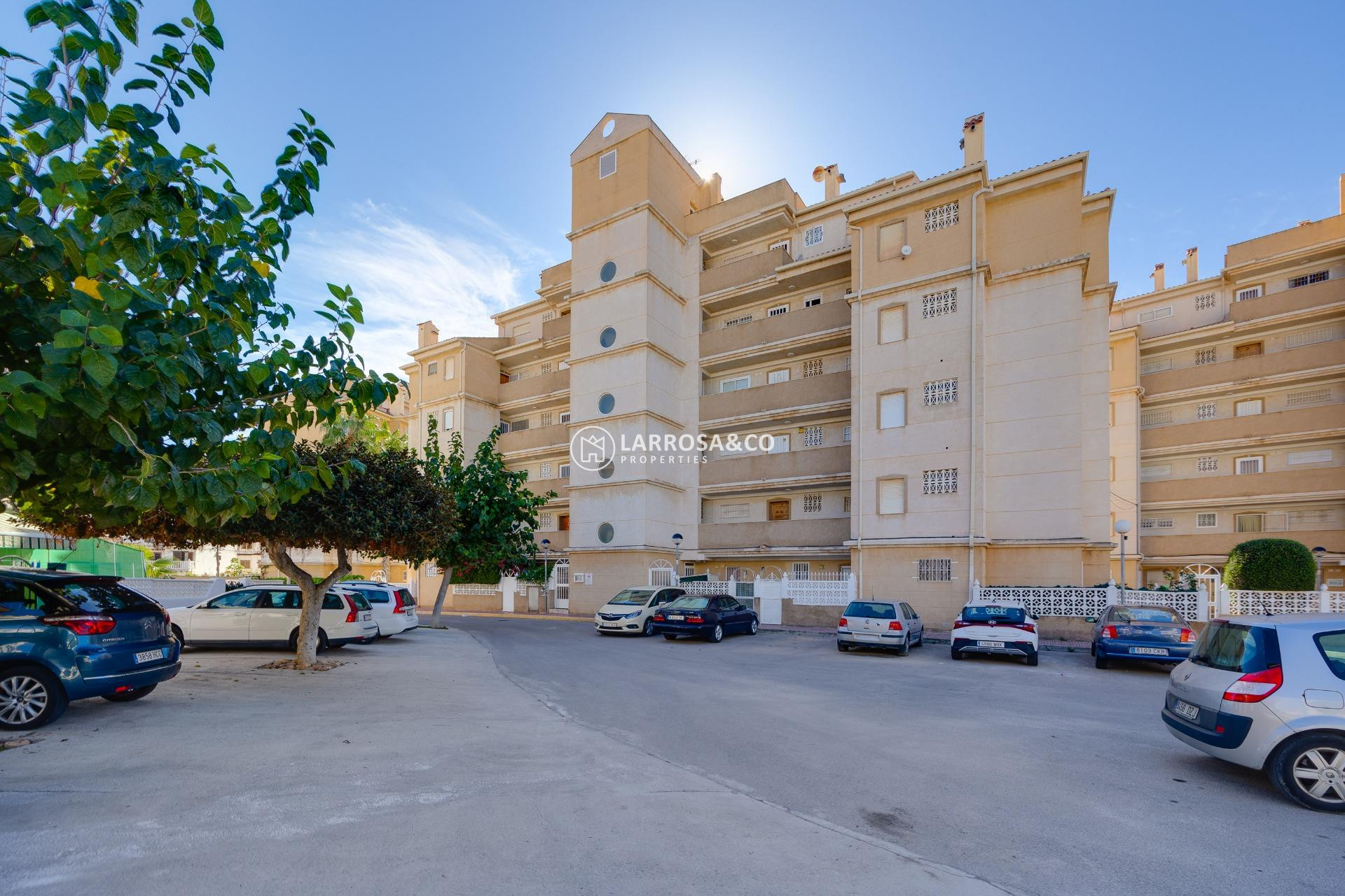 Herverkoop - Ground floor apartment - Torrevieja - Los Locos Beach