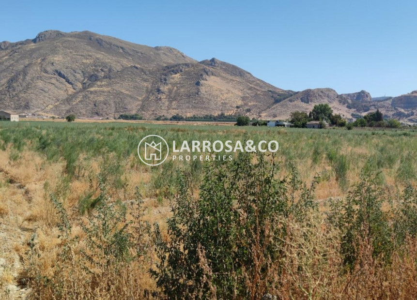 Herverkoop - Land - Pinos Puente - Tarquinar-pedro ruiz