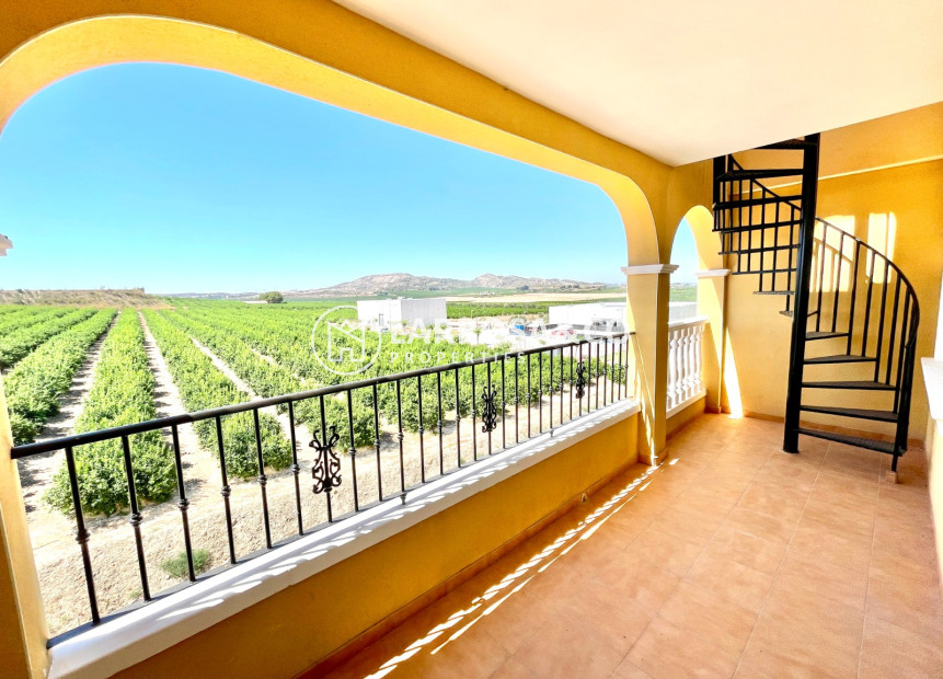 Herverkoop - Penthouse  - Algorfa - Inland