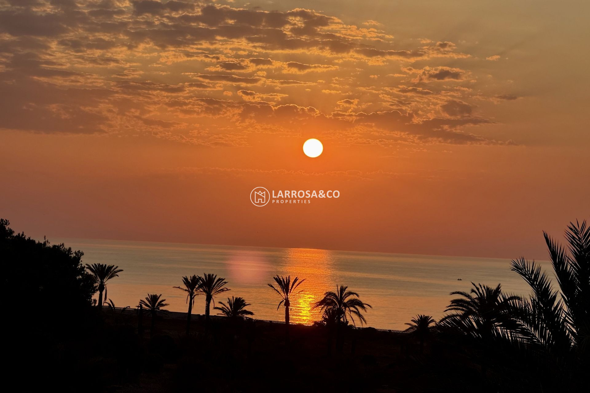 Herverkoop - Penthouse  - San Miguel de Salinas - Inland