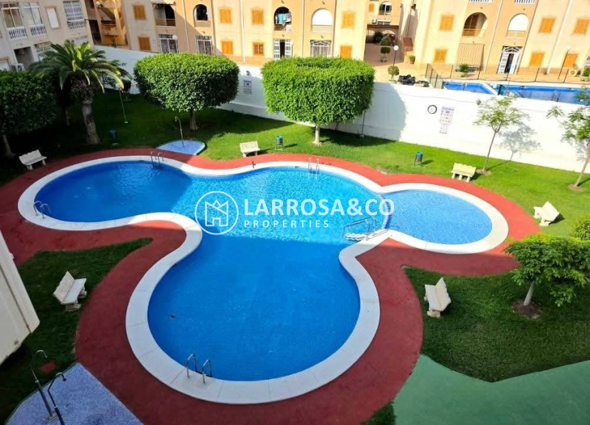 Herverkoop - Penthouse  - Torrevieja - Acequion