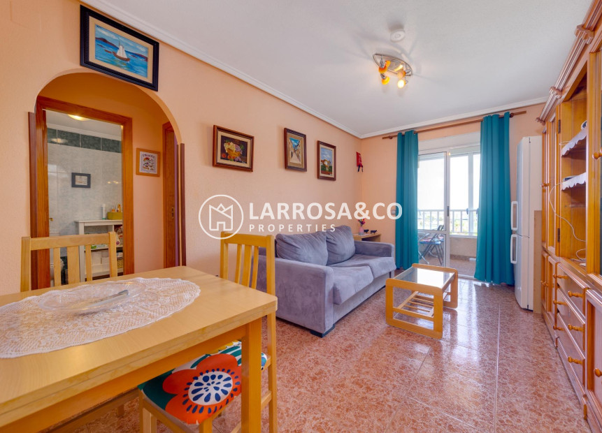 Herverkoop - Penthouse  - Torrevieja - Centro