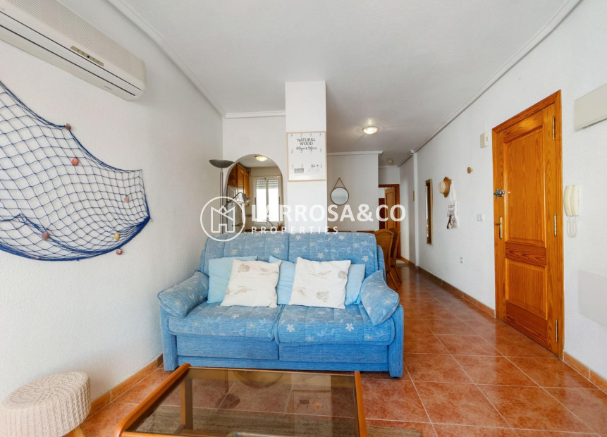 Herverkoop - Penthouse  - Torrevieja - Centro