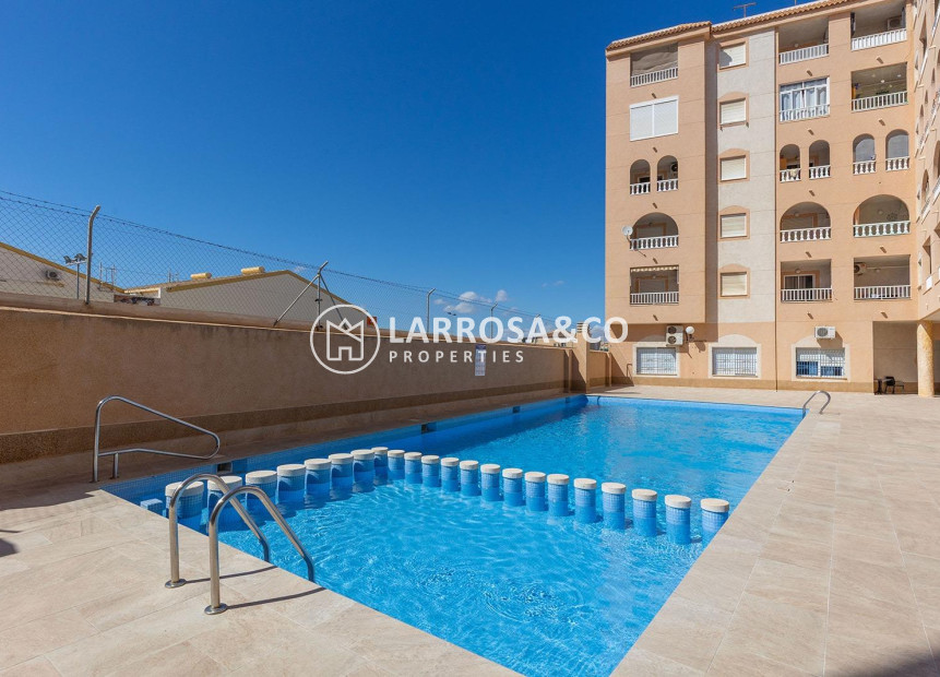 Herverkoop - Penthouse  - Torrevieja - El molino