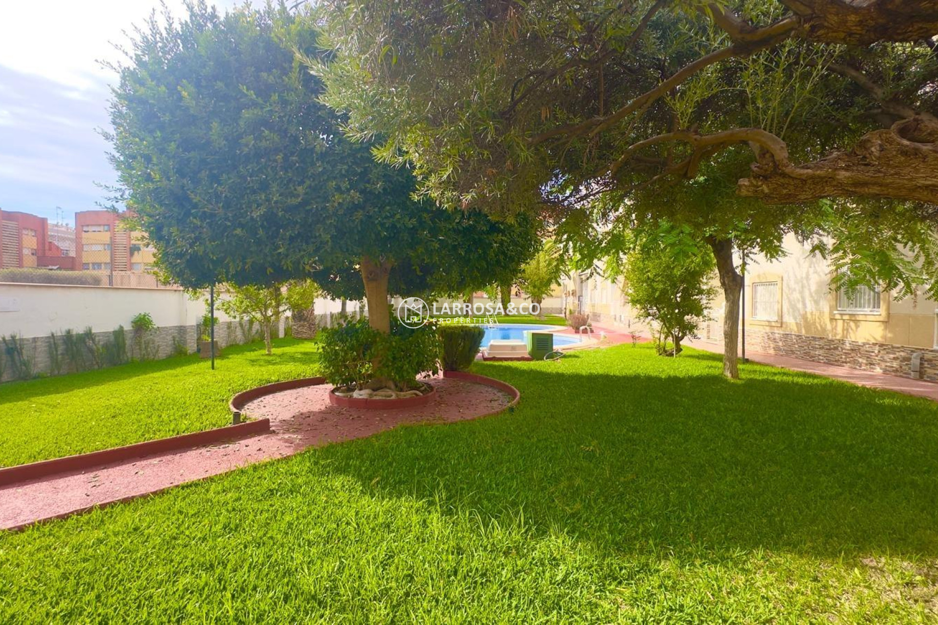 Herverkoop - Penthouse  - Torrevieja - Estacion de autobuses