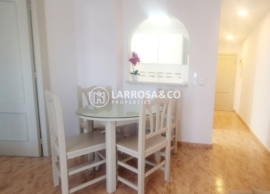 Herverkoop - Penthouse  - Torrevieja - Estacion de autobuses