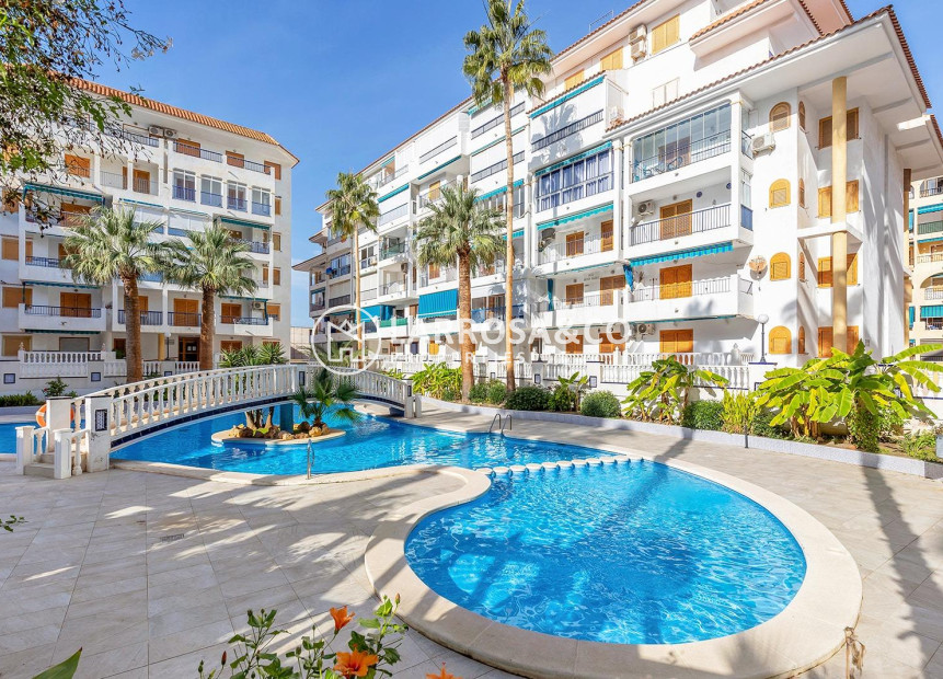 Herverkoop - Penthouse  - Torrevieja - Los Europeos