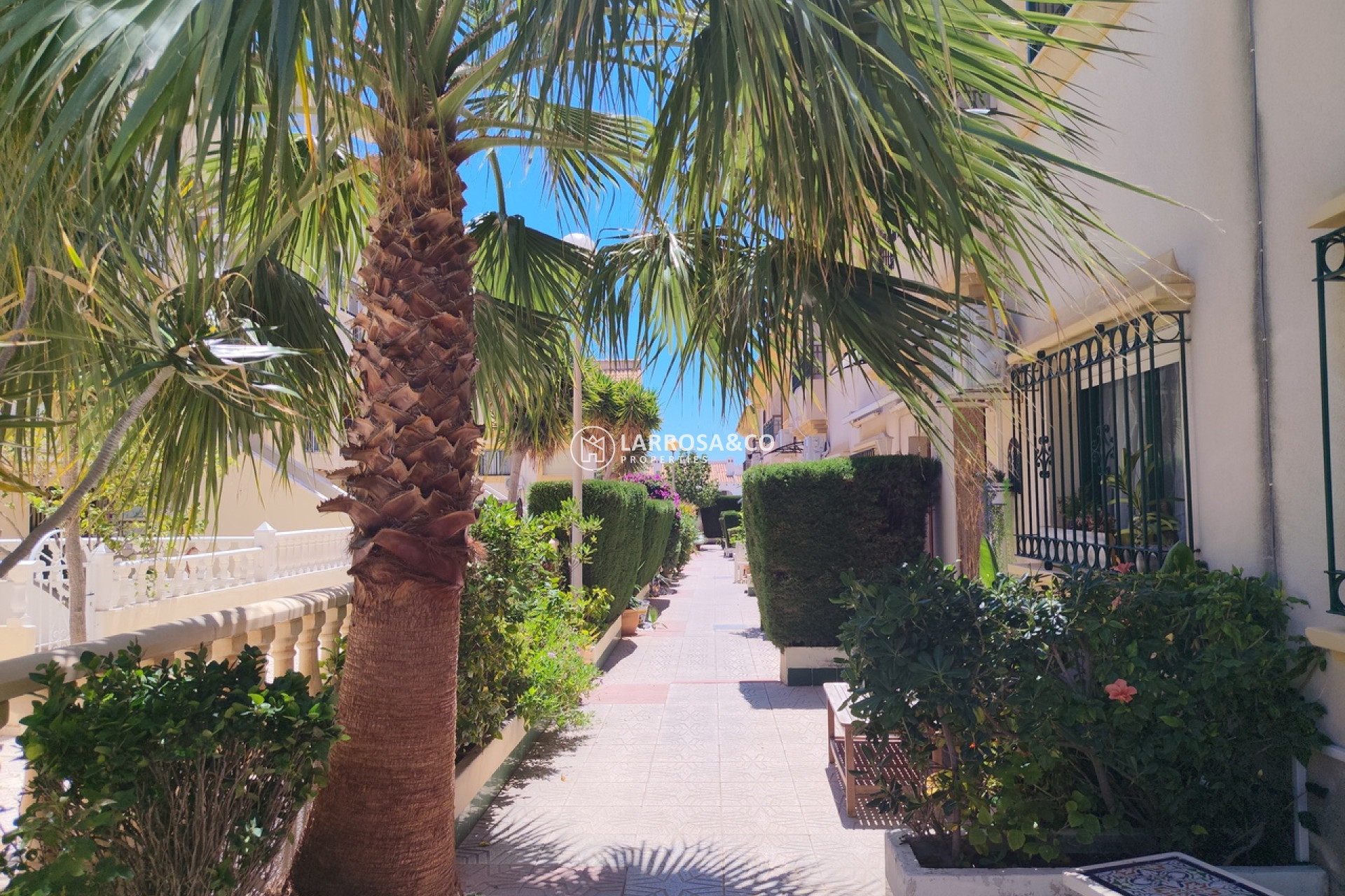 Herverkoop - Semi-detached house - La Zenia - Costa Blanca