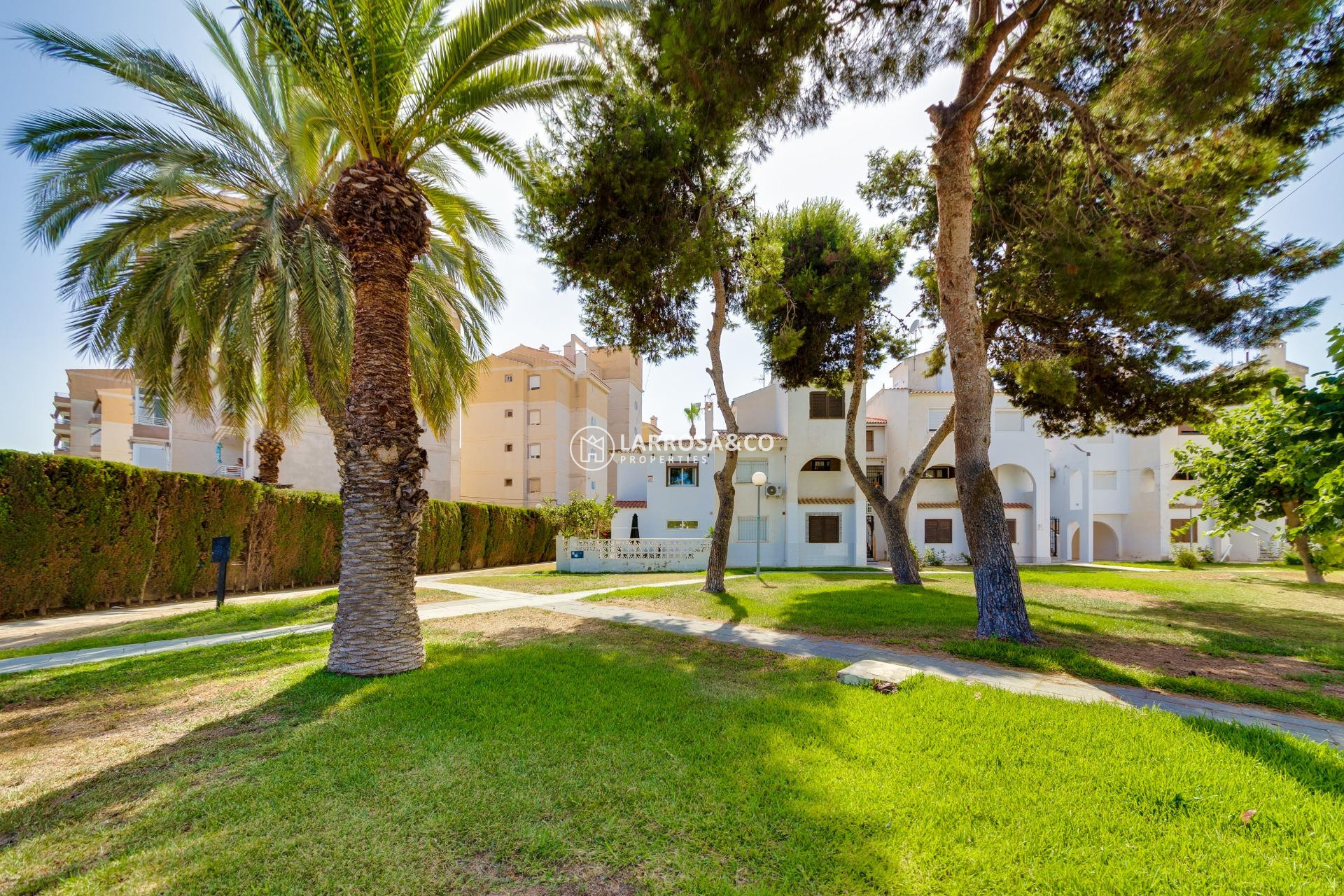 Herverkoop - Semi-detached house - Torrevieja - Calas blanca