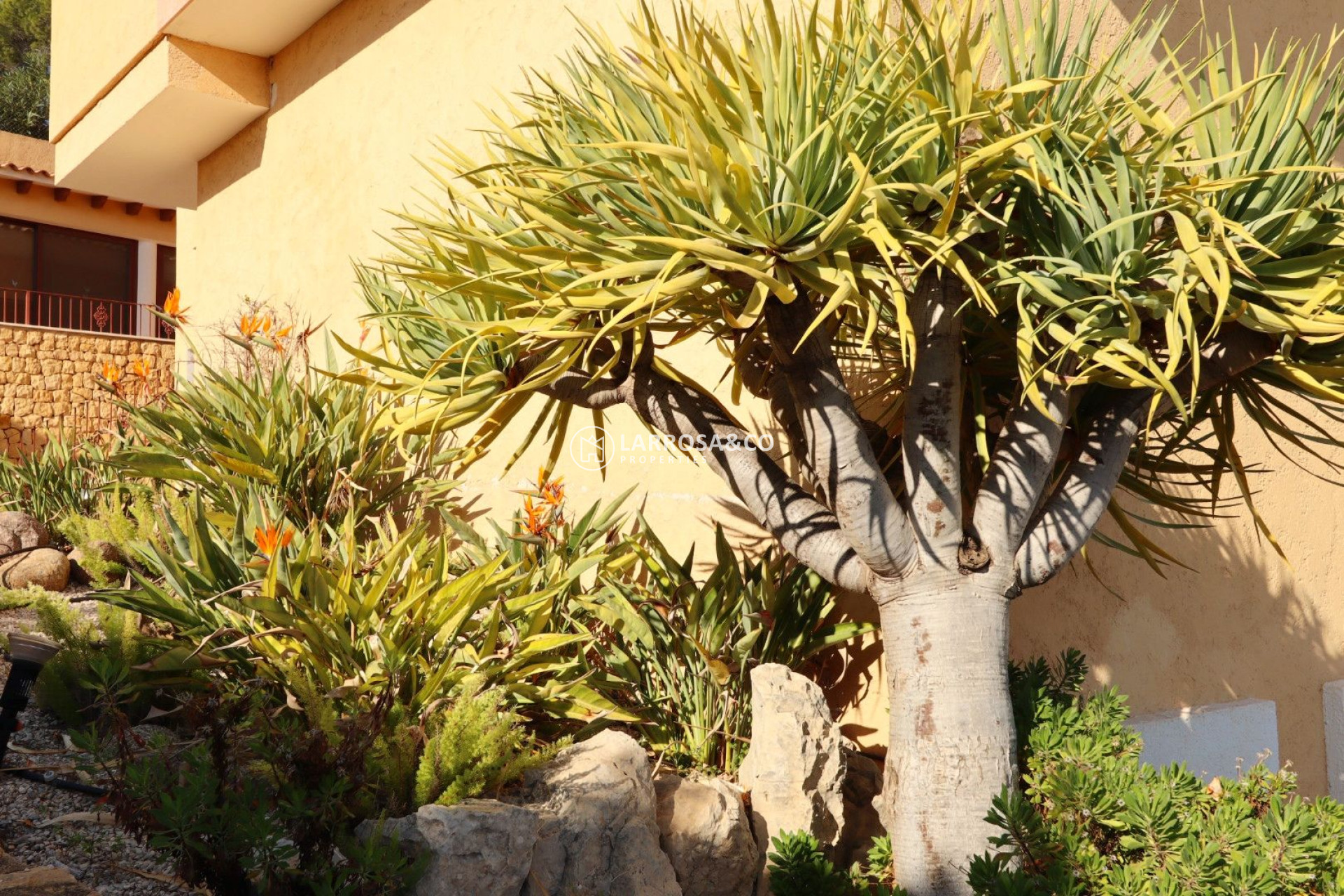 Herverkoop - Villa - Altea - Costa Blanca