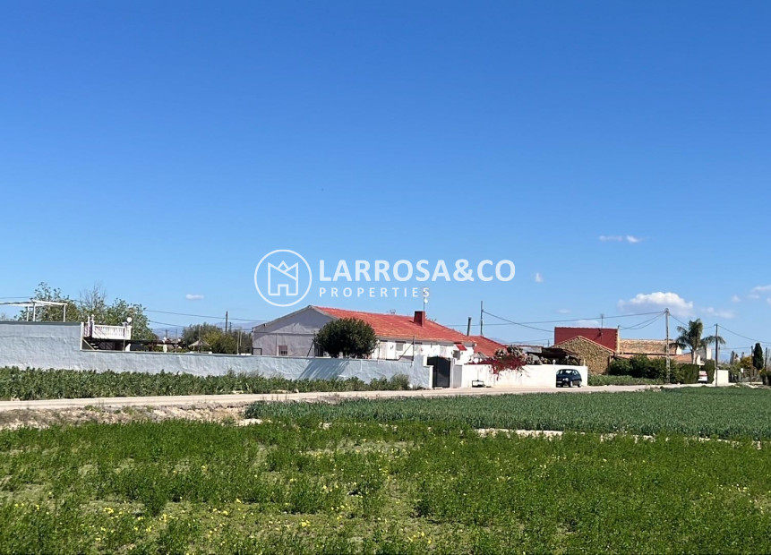 Herverkoop - Villa - Dolores - Comunidad valenciana