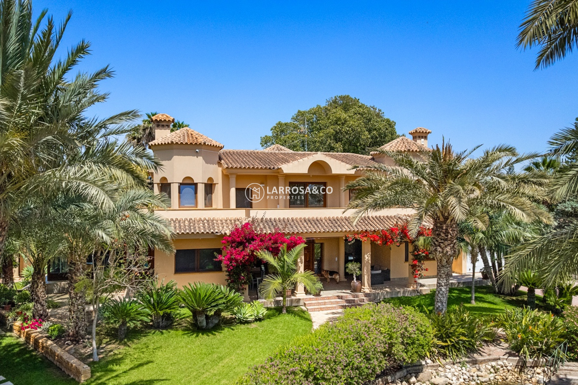 Herverkoop - Villa - Elche/Elx