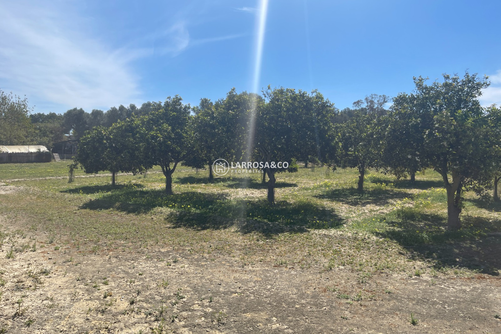 Herverkoop - Villa - Guardamar del Segura - Costa Blanca