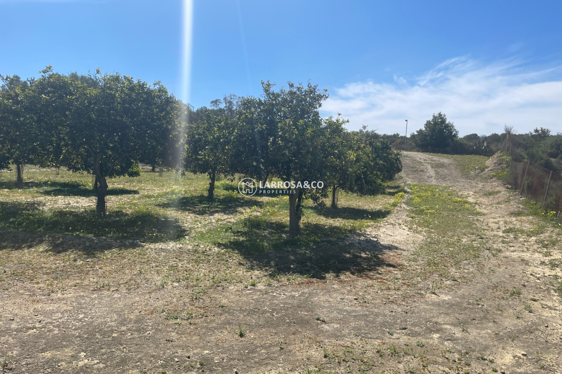 Herverkoop - Villa - Guardamar del Segura - Costa Blanca