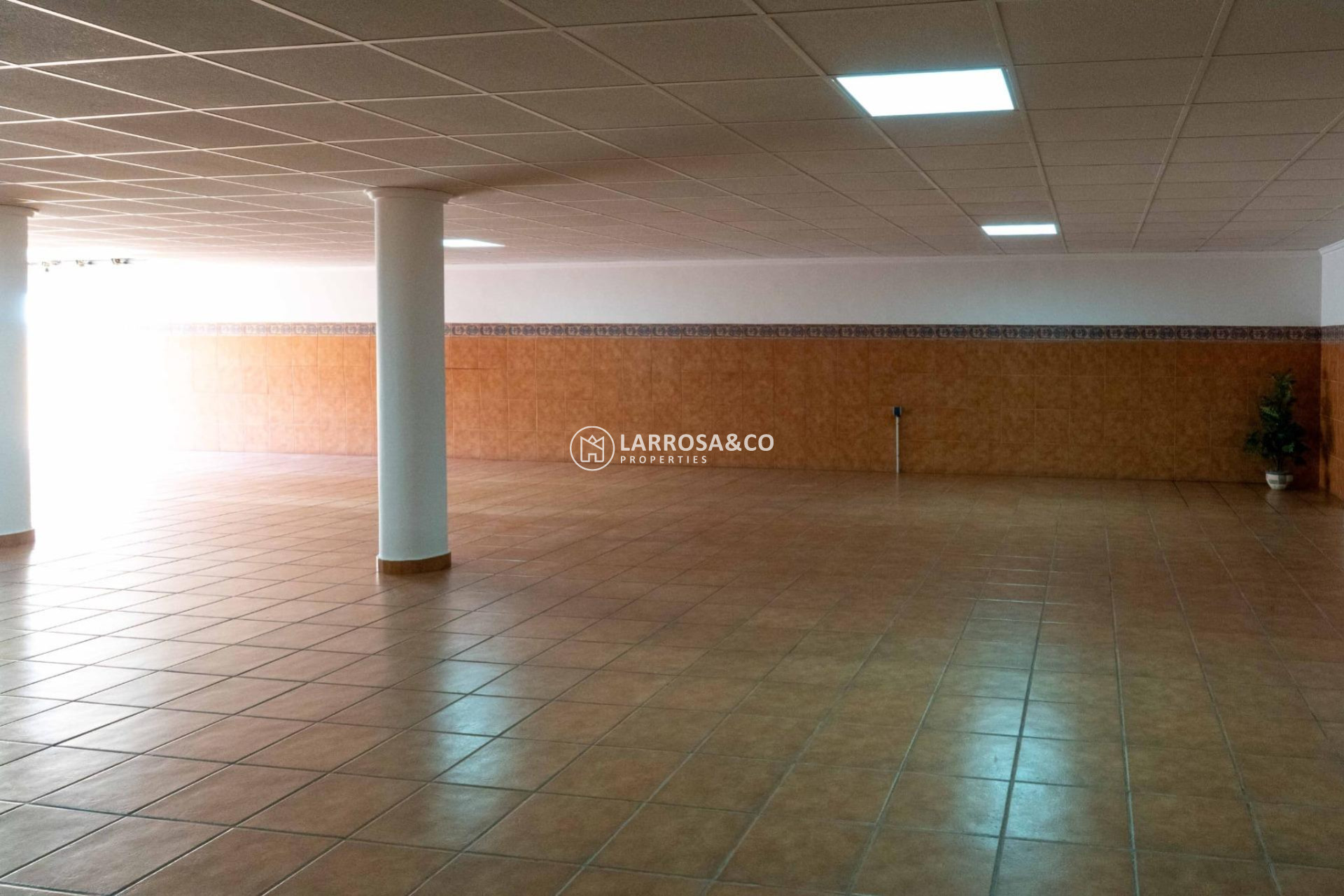 Herverkoop - Villa - Redovan - Comunidad valenciana