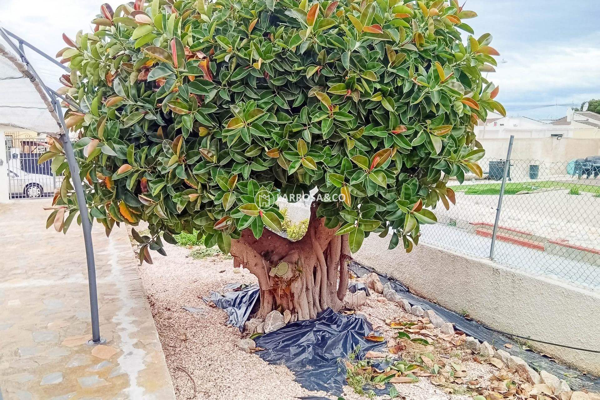 Herverkoop - Villa - Torrevieja - La Siesta - El Salado - Torreta