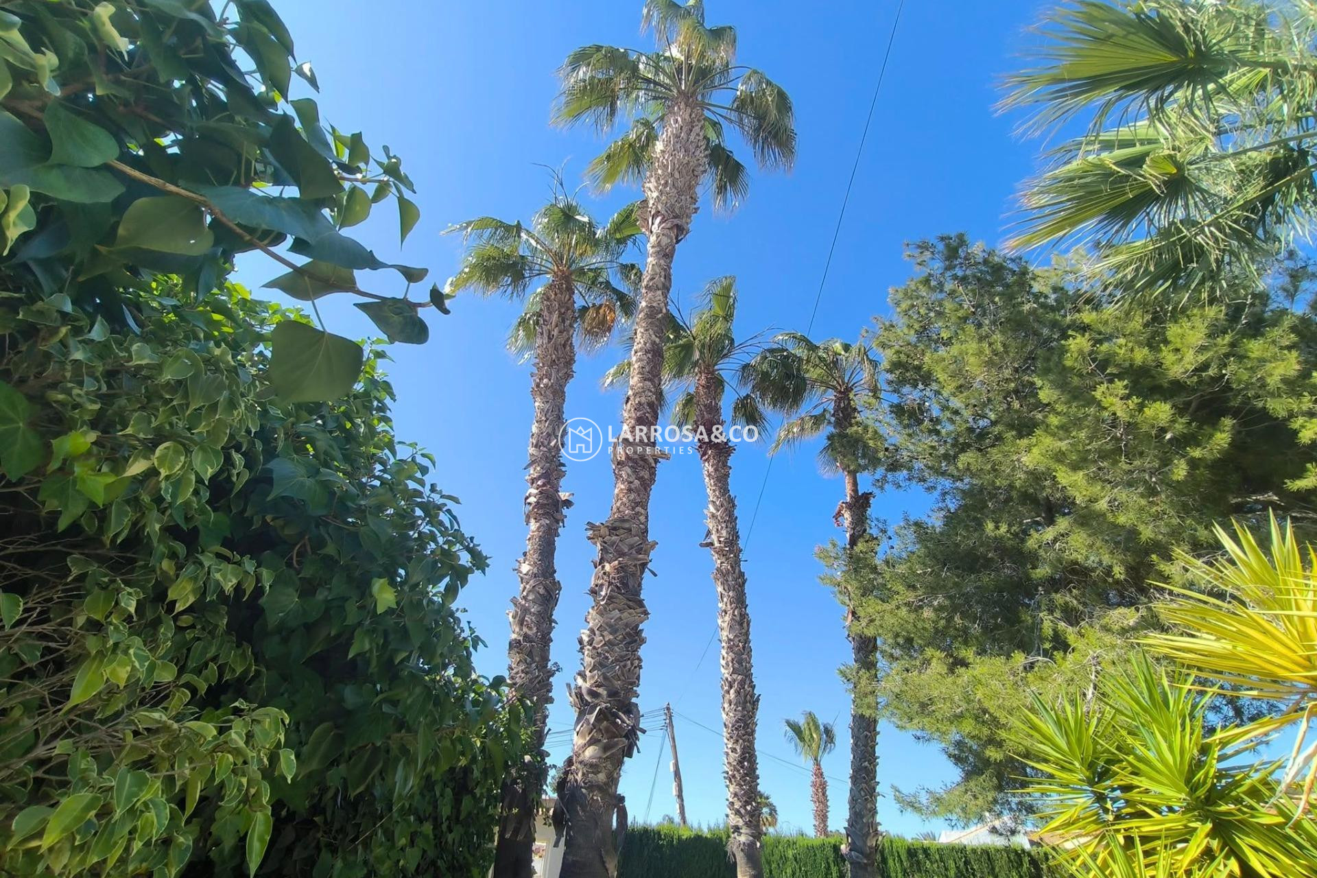 Herverkoop - Villa - Torrevieja - La siesta