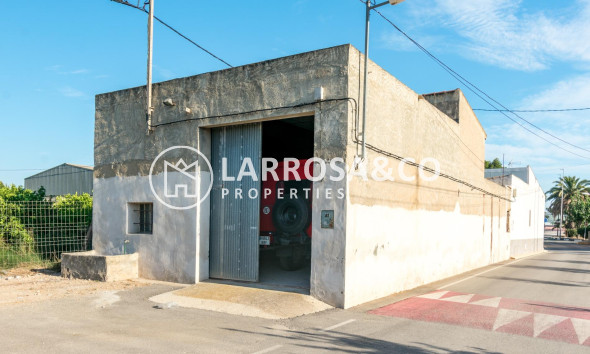 Industrial Field - Resale - Benejúzar - Comunidad valenciana