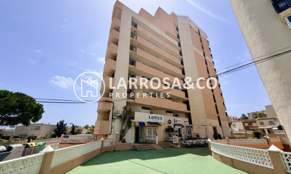 Квартира - Вторичный рынок - La Mata - Costa Blanca