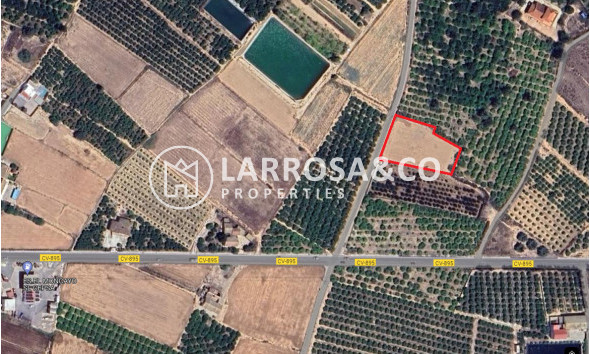 Land - A Vendre - Guardamar del Segura - RV2330
