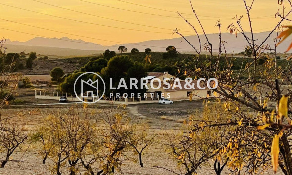 Land - A Vendre - Pinoso - A 2 km de la ciudad