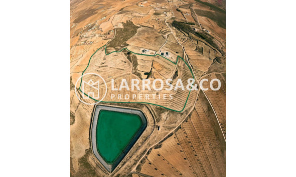 Land - Herverkoop - Pinoso - A 2 km de la ciudad
