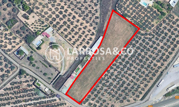 Land/Plots - Resale - Albolote - Albolote