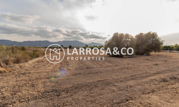 Land/Plots - Resale - Benferri - Campo