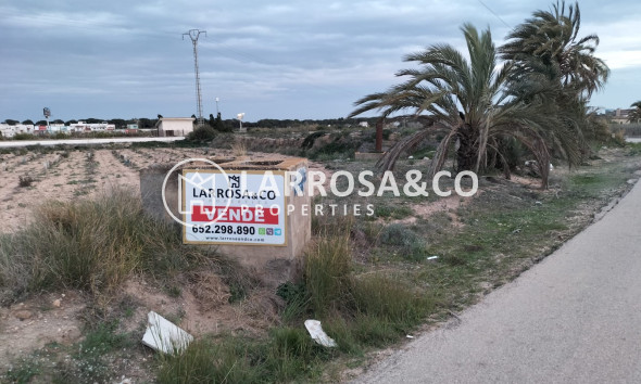 Land/Plots - Resale - Guardamar del Segura - RV2418