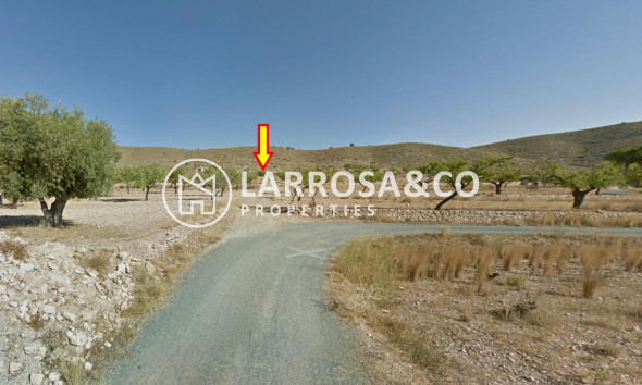 Land/Plots - Resale - Hondon de las Nieves - REBALSO