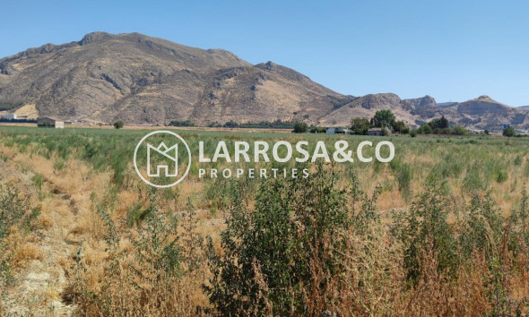 Land/Plots - Resale - Pinos Puente - Tarquinar-pedro ruiz