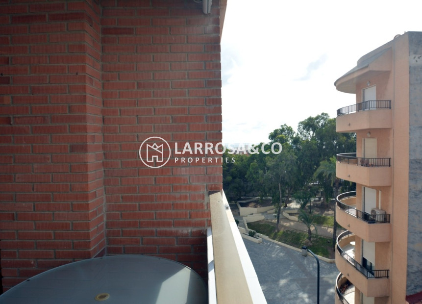 Lange Termijn Verhuur - Apartment - Guardamar del Segura - Avenida los pinos