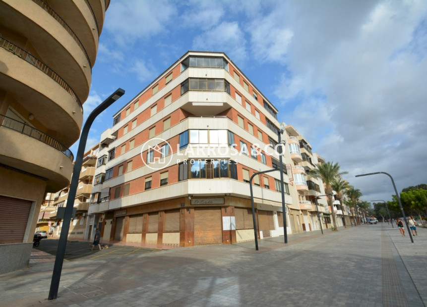 Lange Termijn Verhuur - Apartment - Guardamar del Segura - Avenida los pinos