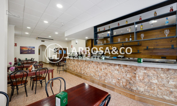 Local - Reventa - Torrevieja - Estacion de autobuses