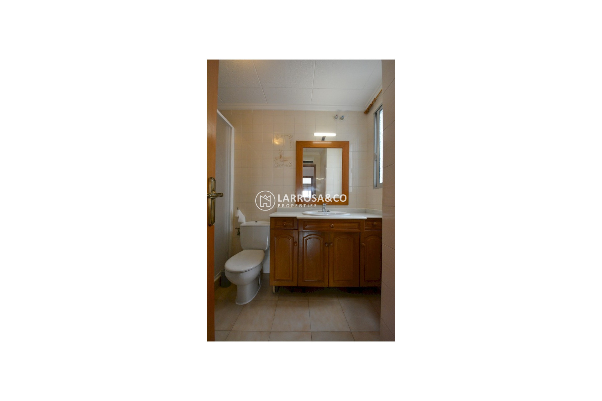 Location - Apartment - Guardamar del Segura - Avenida los pinos