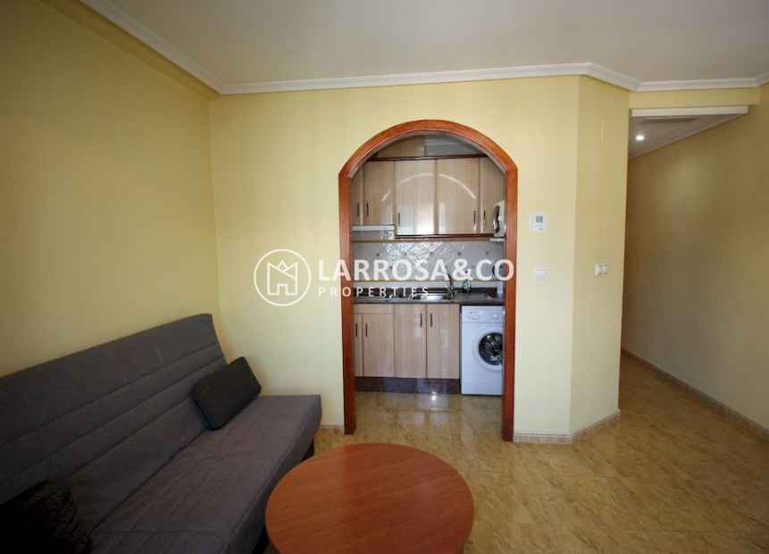 Location - Apartment - Guardamar del Segura - Cervantes
