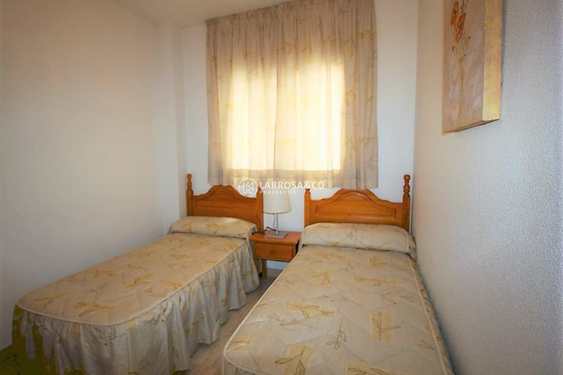 Location - Apartment - Guardamar del Segura