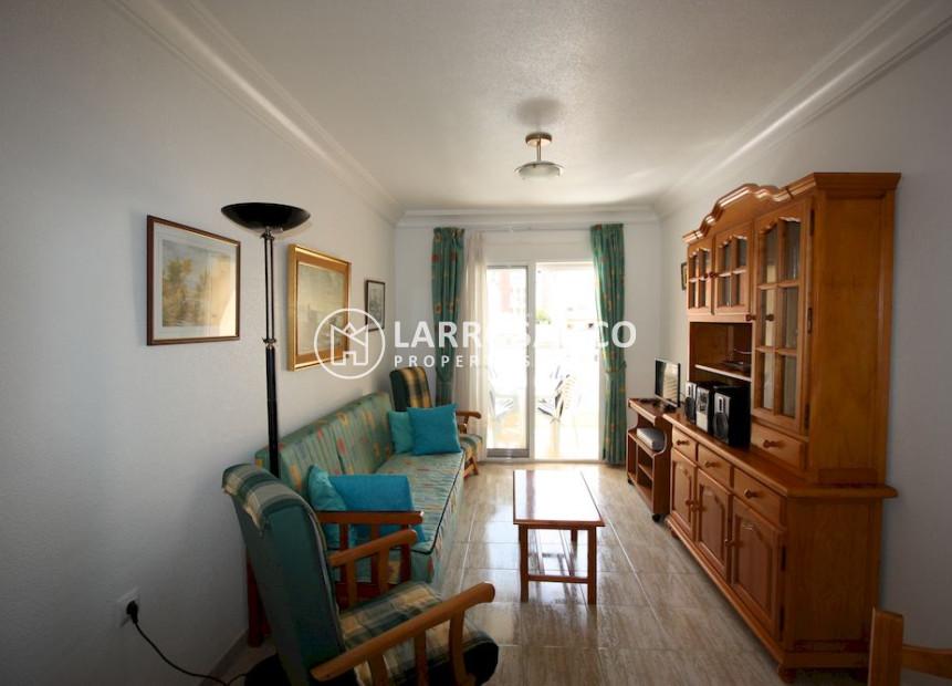 Location - Apartment - Guardamar del Segura