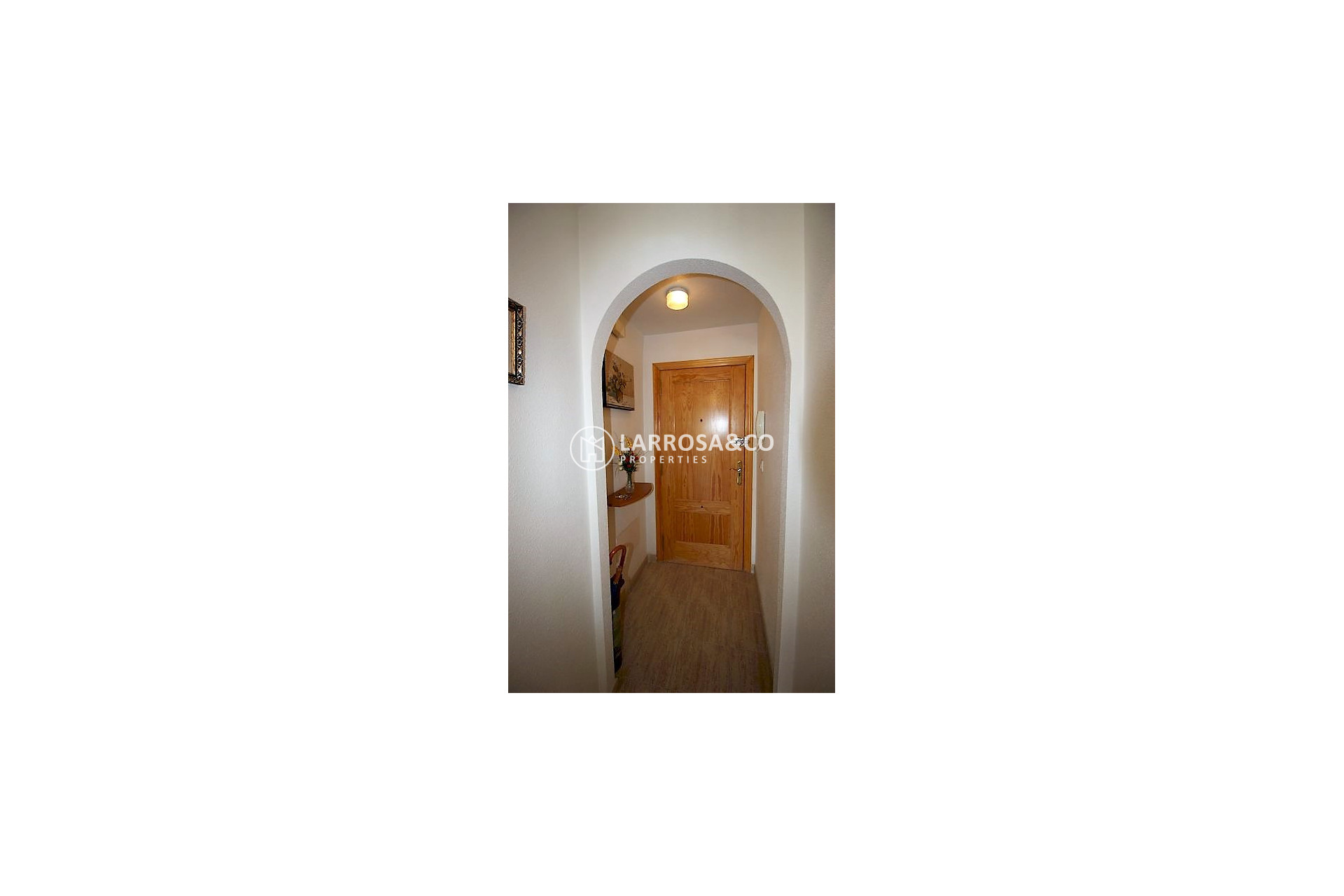 Location - Apartment - Guardamar del Segura