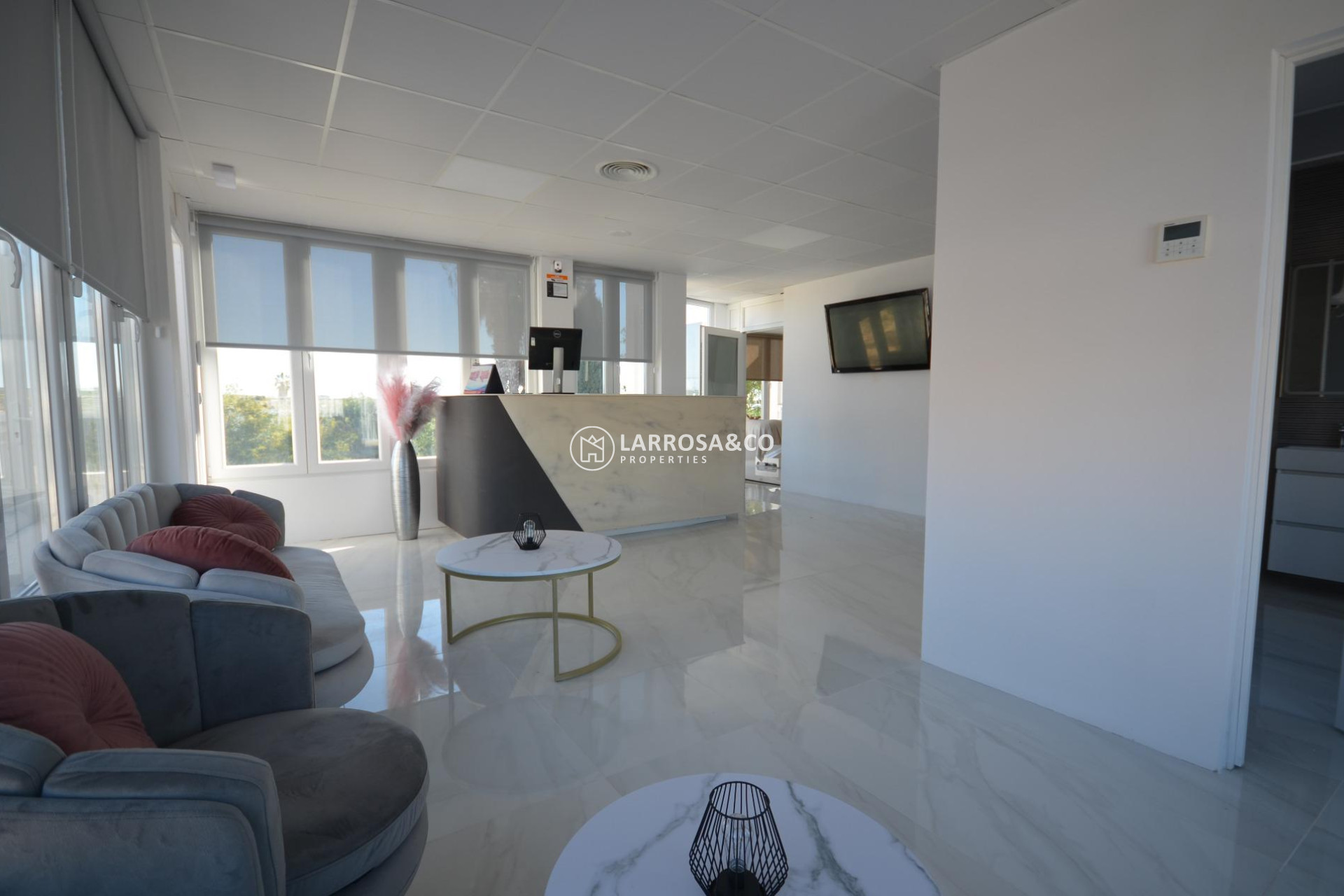 Location - Business - Ciudad Quesada - Lo pepin