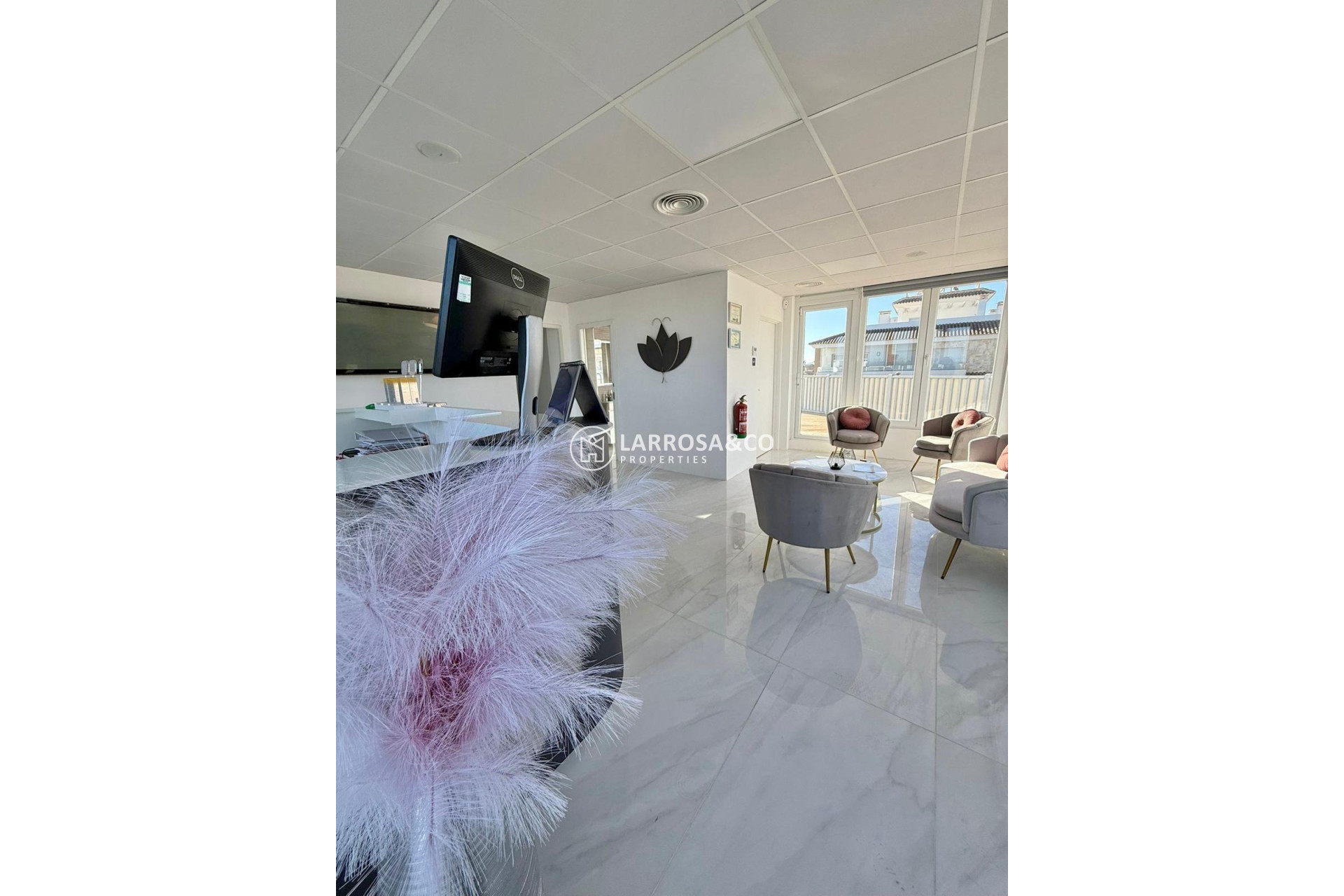 Location - Business - Ciudad Quesada - Lo pepin