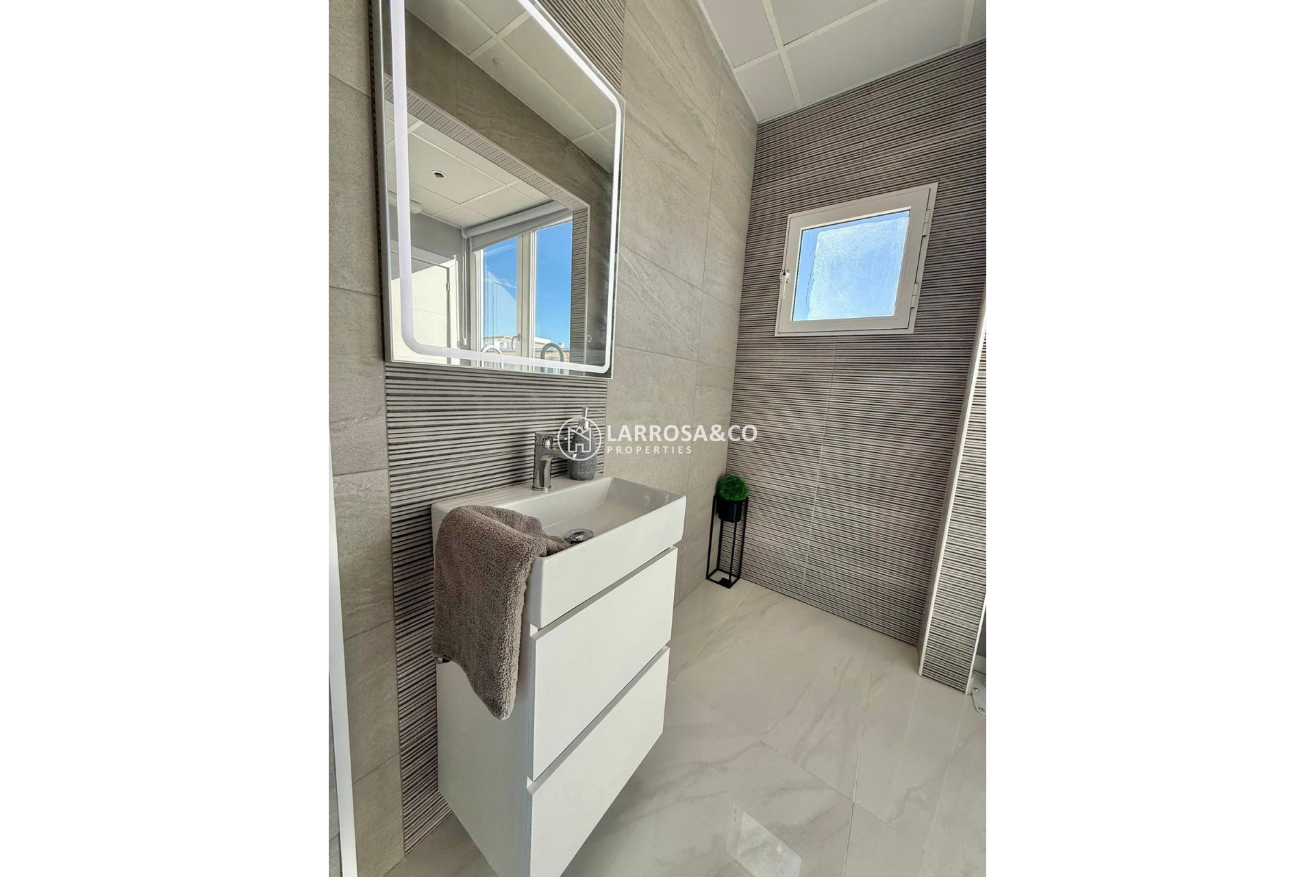 Location - Business - Ciudad Quesada - Lo pepin