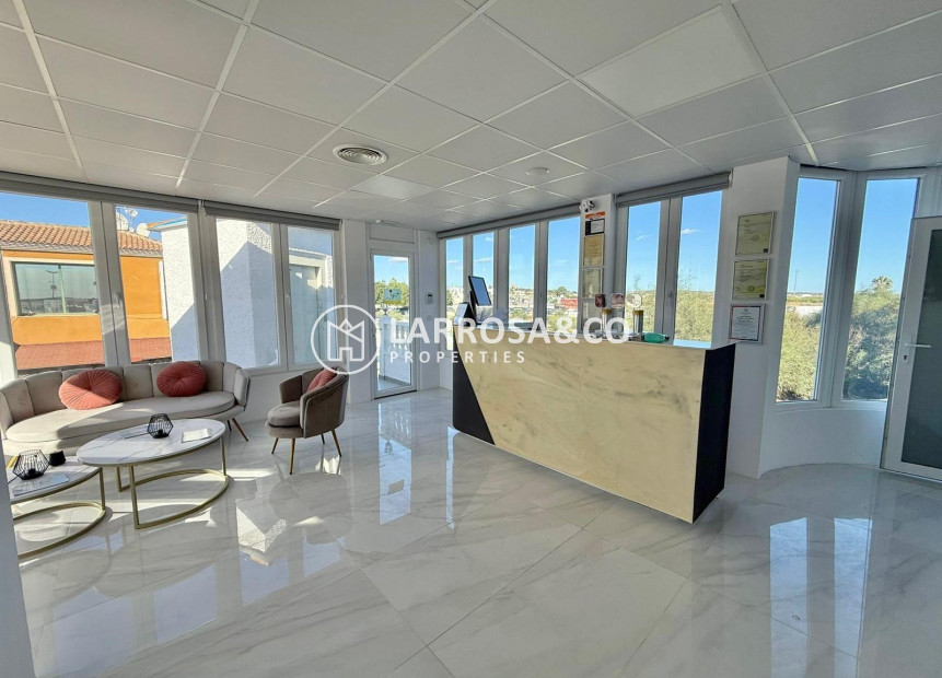 Long Term Rentals - Business - Ciudad Quesada - Lo pepin