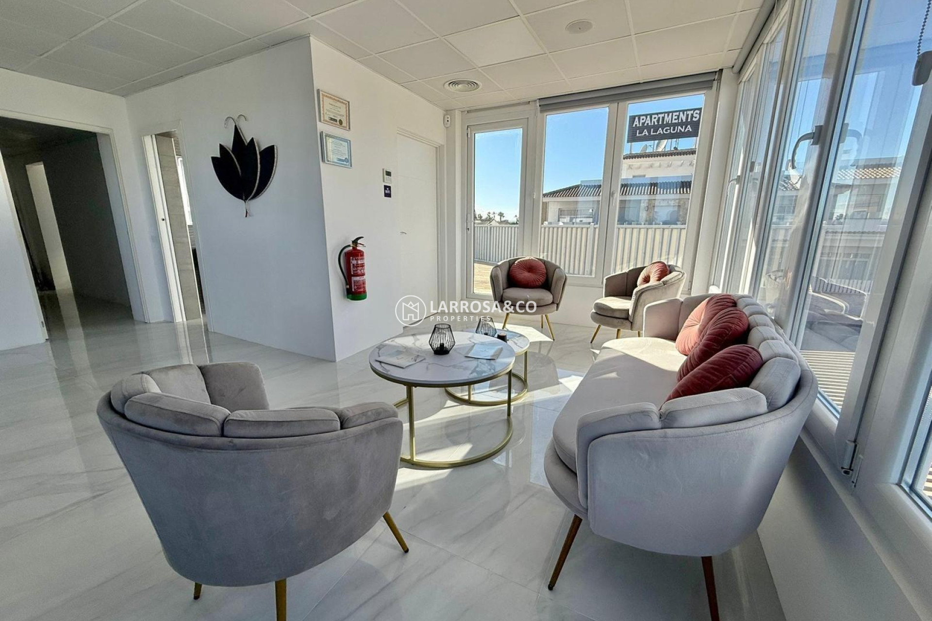 Long Term Rentals - Business - Ciudad Quesada - Lo pepin