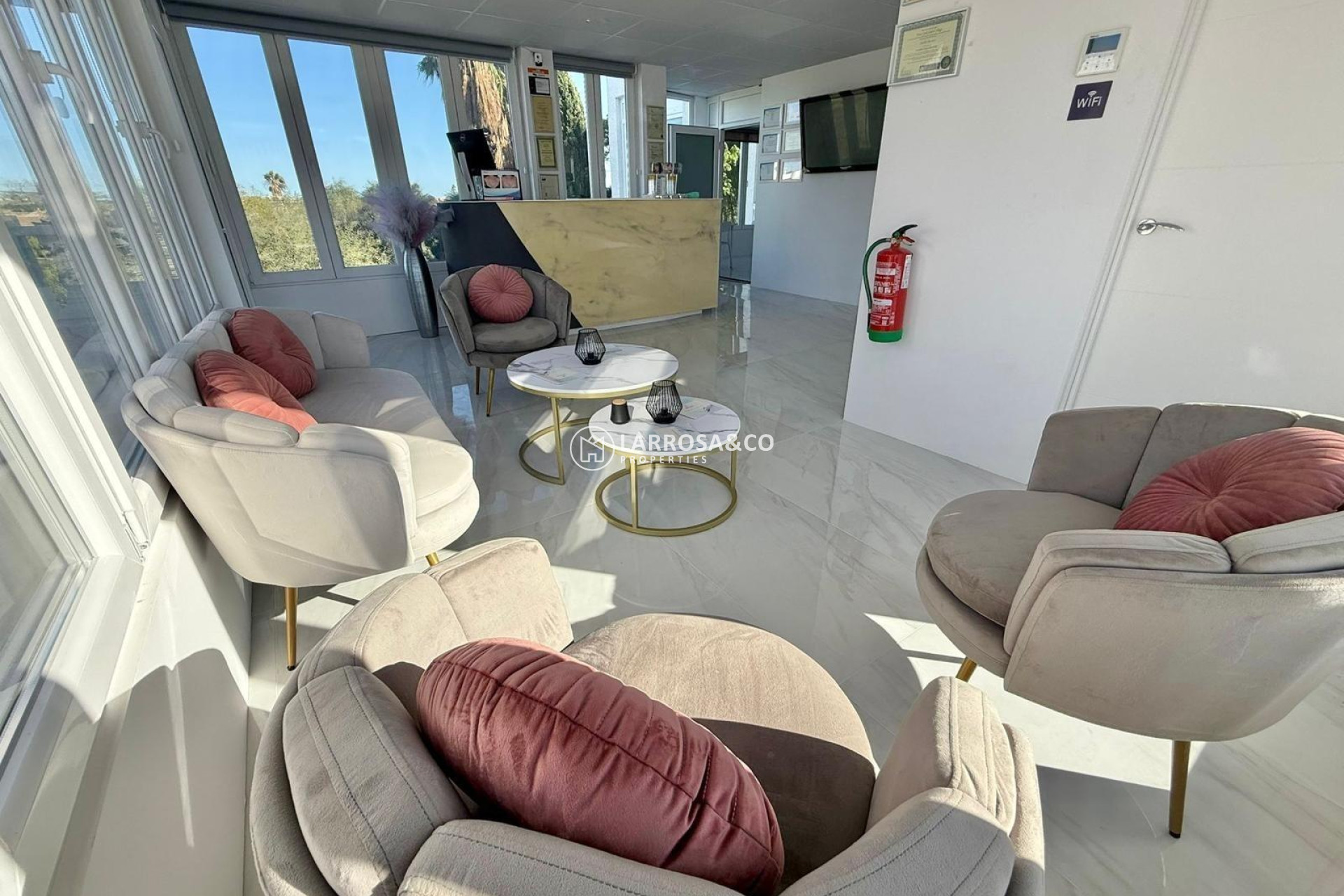 Long Term Rentals - Business - Ciudad Quesada - Lo pepin