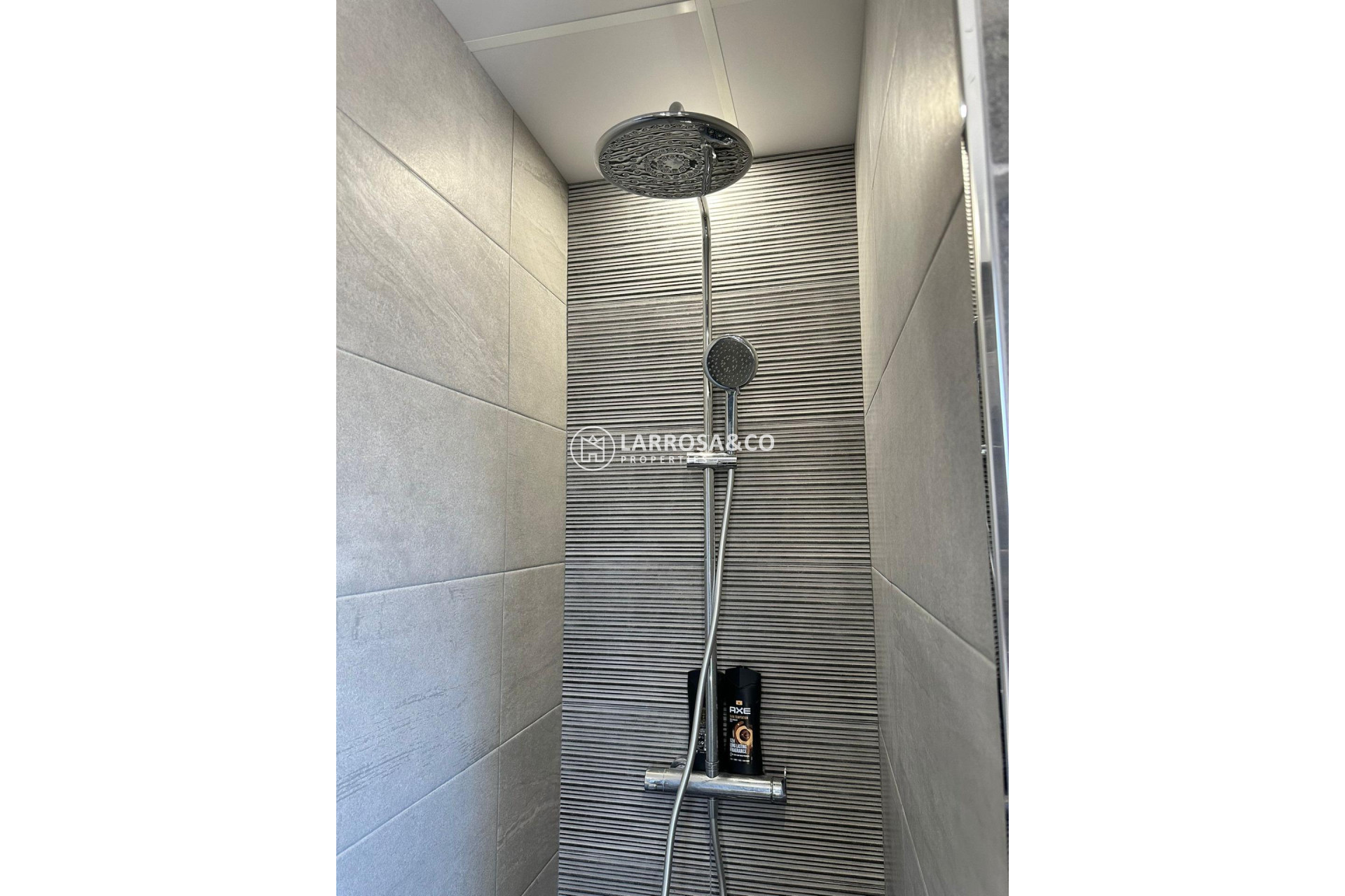 Long Term Rentals - Business - Ciudad Quesada - Lo pepin